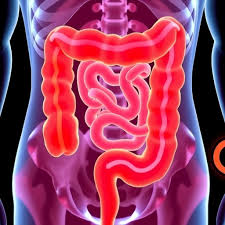 Screening Guidelines for Colon Cancer Everyone Should Know