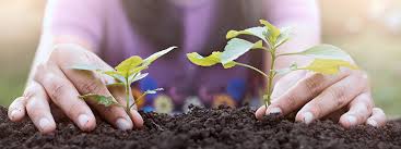 Signs It's Time To Seek Integrative Medicine Solutions