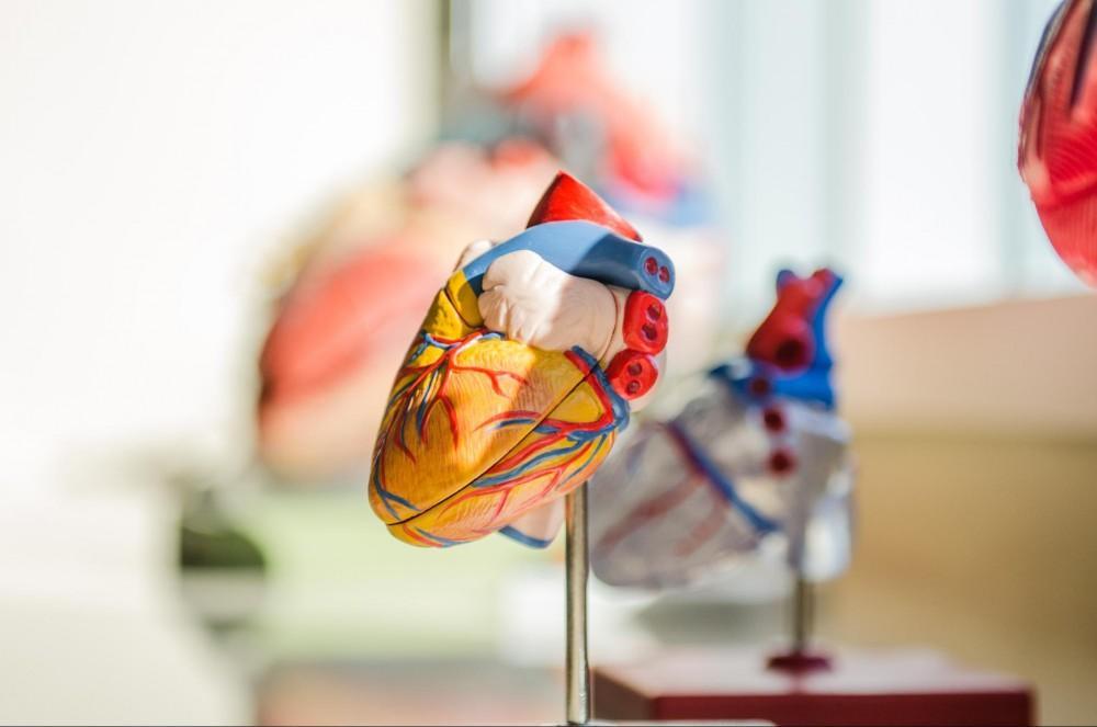 The Fundamental Role of Cardiology in Overall Health Management