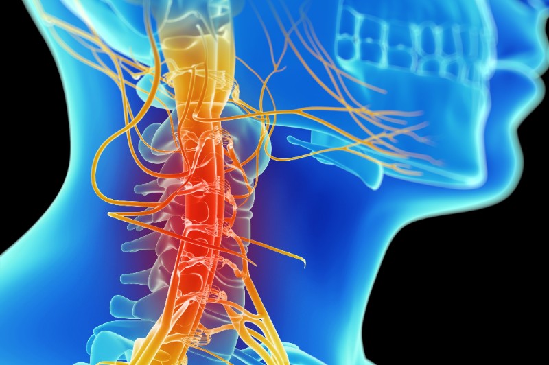 Understanding Neck Pain Causes and Treatments